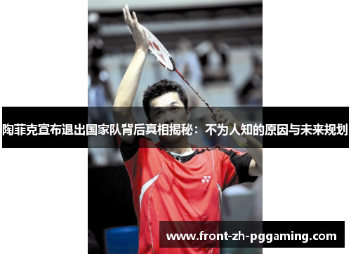 陶菲克宣布退出国家队背后真相揭秘：不为人知的原因与未来规划